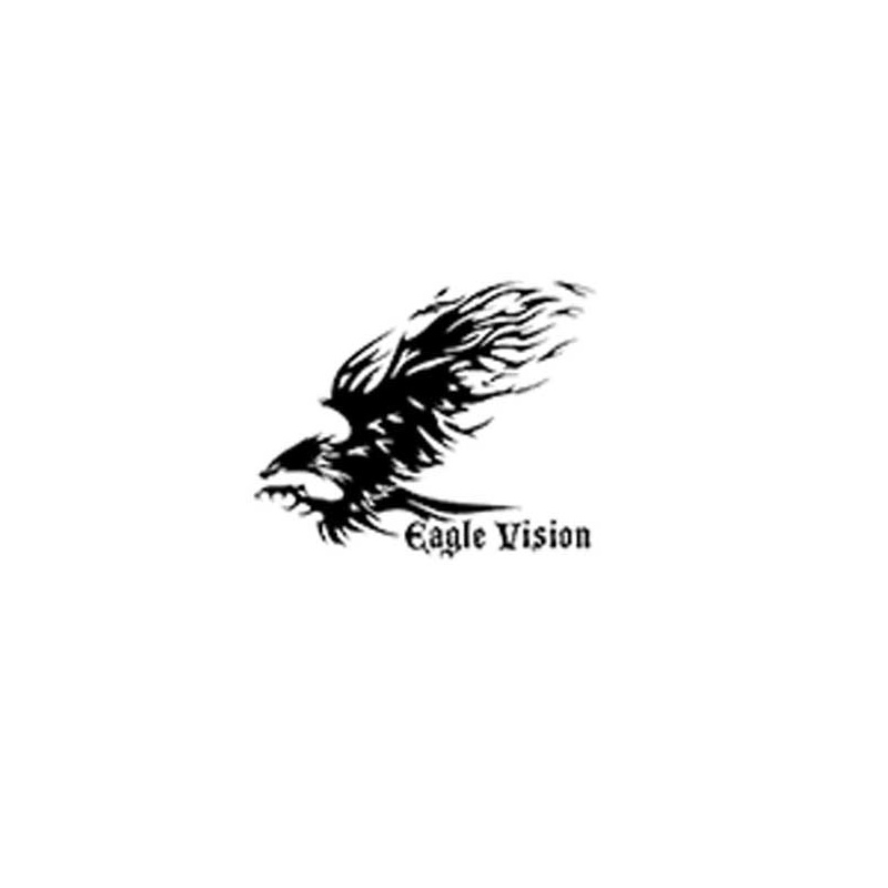 EagleVision Cam